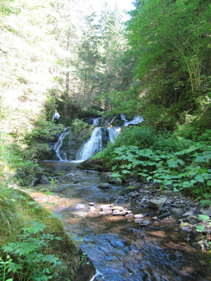 Roetenbacher Wiesen * Friedenweiler